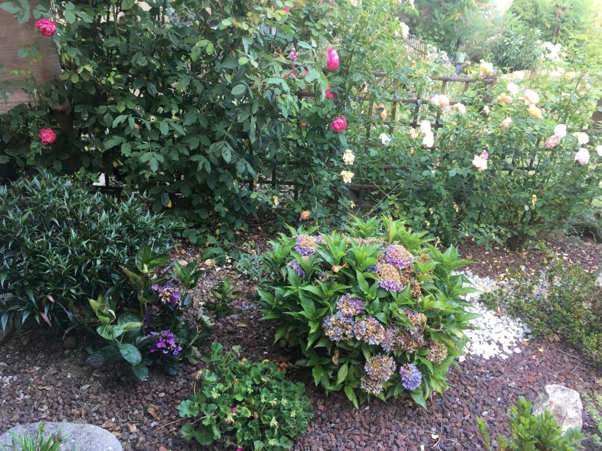 A Casina De Esther 테오 외부 사진